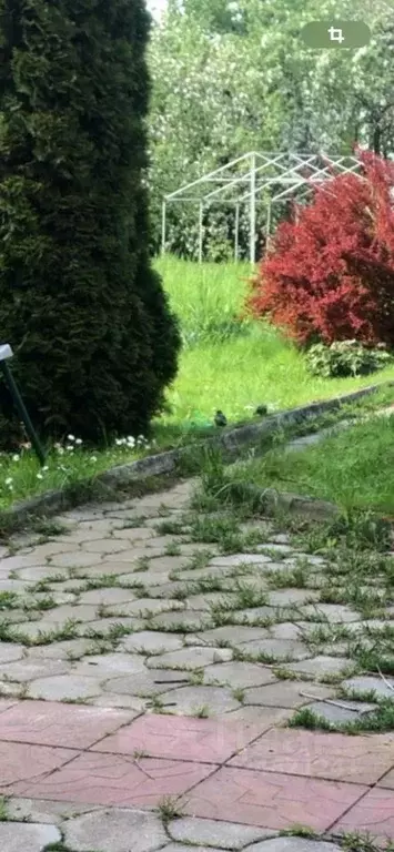 Участок в Калужская область, Калуга ул. Яновских (6.5 сот.) - Фото 2