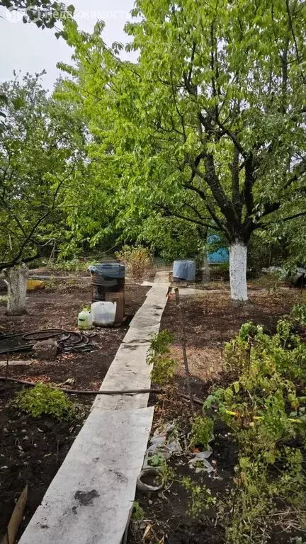 Участок в Истоминское сельское поселение, СНТ Природа, 42-я линия (5.7 ... - Фото 1