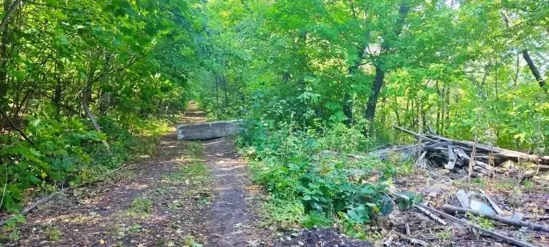 Участок в Самарская область, Жигулевск городской округ, с. Бахилова ... - Фото 0