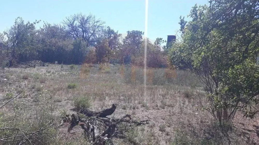 Участок в Крым, Сакский район, с. Орехово ул. Энтузиастов (4.0 сот.) - Фото 2