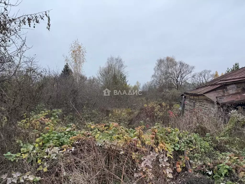Участок в Владимирская область, Суздальский район, Боголюбовское ... - Фото 2