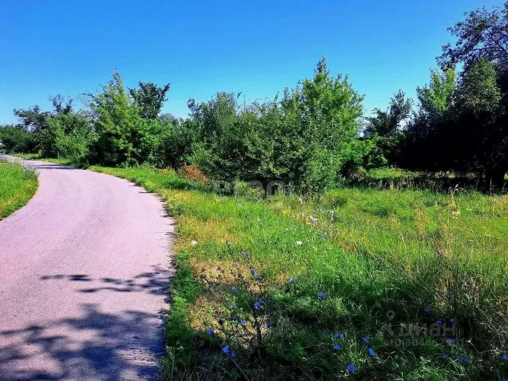 Участок в Белгородская область, Валуйский городской округ, с. ... - Фото 0