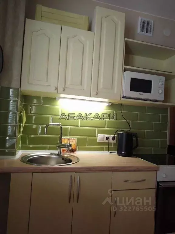 1-к кв. Красноярский край, Красноярск наб. Ярыгинская, 9 (30.0 м) - Фото 2