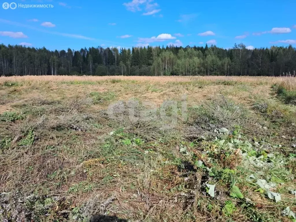 участок в костромской район, кузьмищенское сельское поселение, деревня . - Фото 1