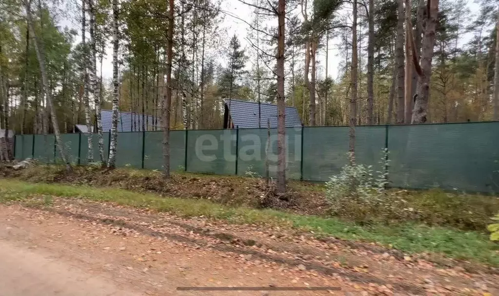 Участок в Ленинградская область, Приозерский район, Красноозерное ... - Фото 1
