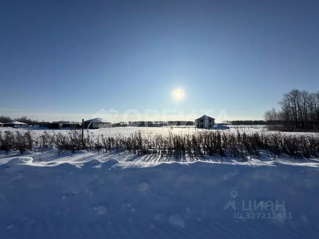 Участок в Тюменская область, Тюменский муниципальный округ, ... - Фото 1