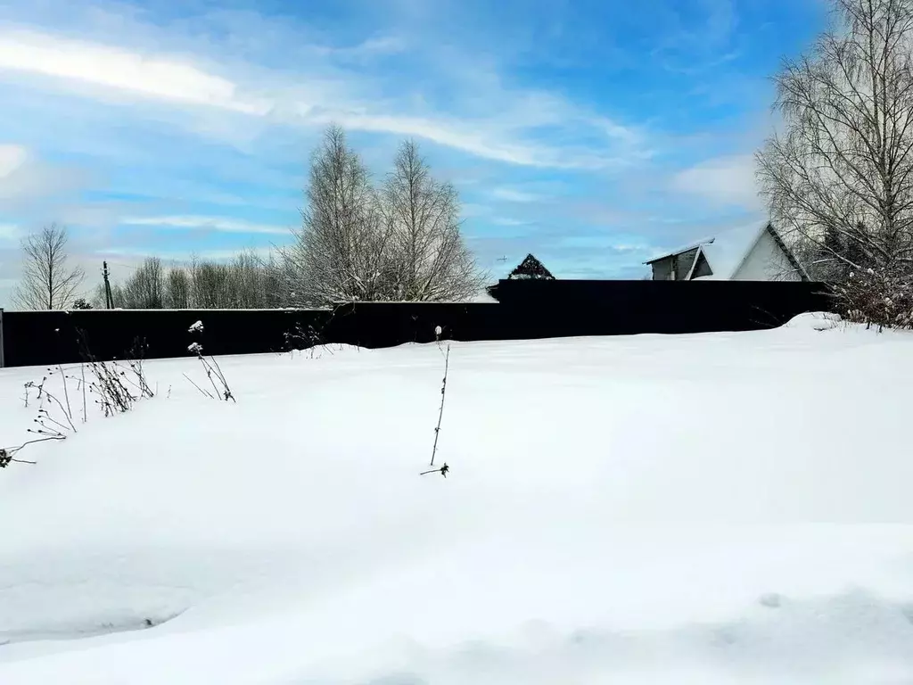 Участок в Московская область, Дмитровский муниципальный округ, Акация ... - Фото 2