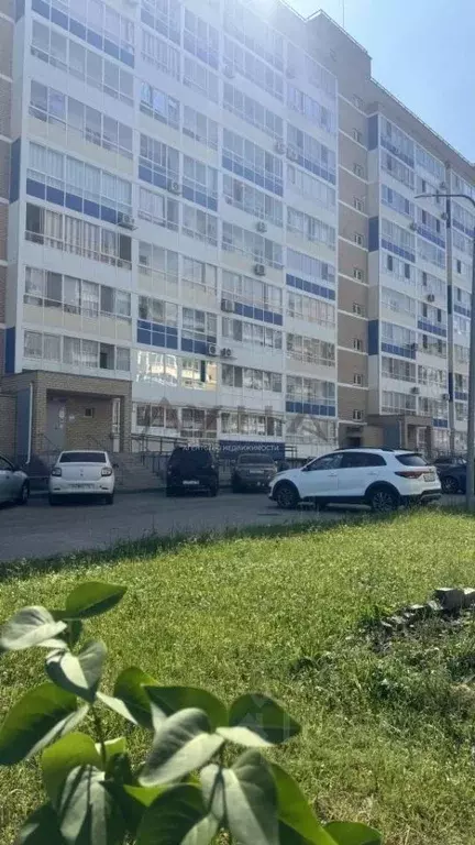 Студия Татарстан, Набережные Челны просп. Абдурахмана Абсалямова, 11 ... - Фото 1