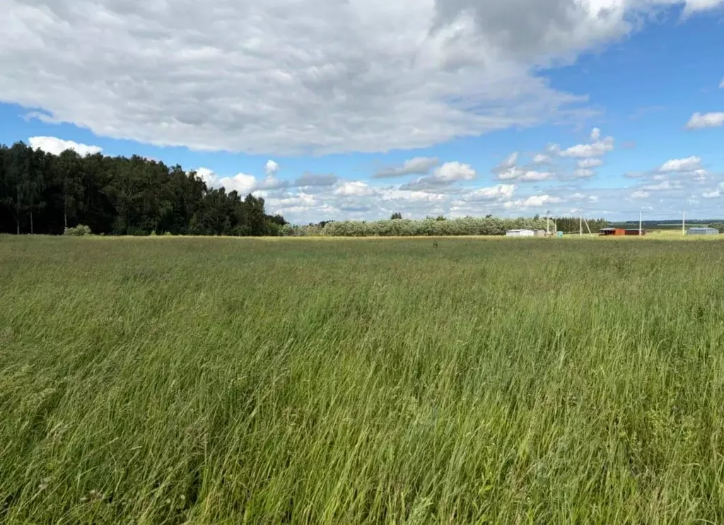 Участок в Московская область, Кашира городской округ, д. Никулино  ... - Фото 1