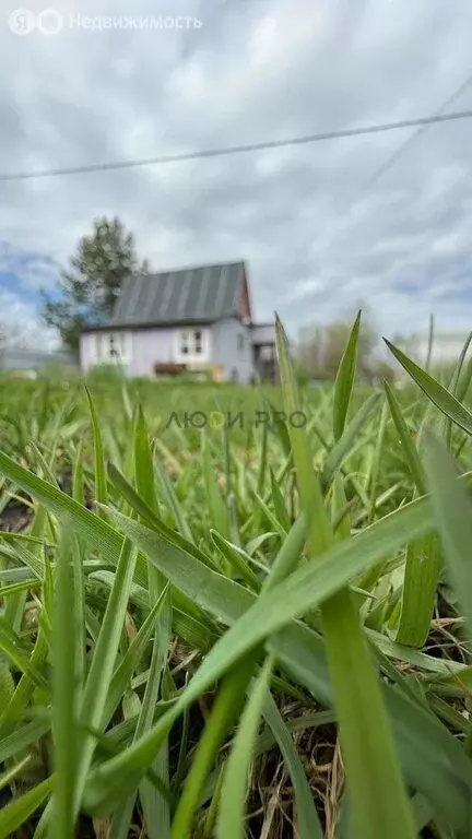 Дом в Вологда, Баранковская улица (35 м) - Фото 1