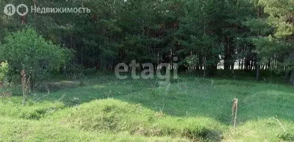 Участок в Кирово-Чепецкий муниципальный район, Пасеговское сельское ... - Фото 2