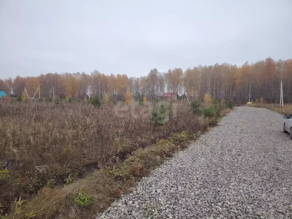 Участок в Тюменская область, Тюменский муниципальный округ, д. Елань  ... - Фото 1