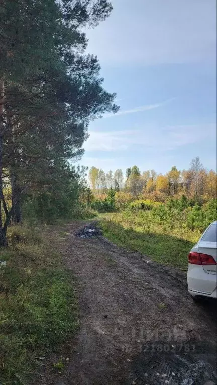 Участок в Томская область, Томский район, Богашевское с/пос, Некрасово ... - Фото 1