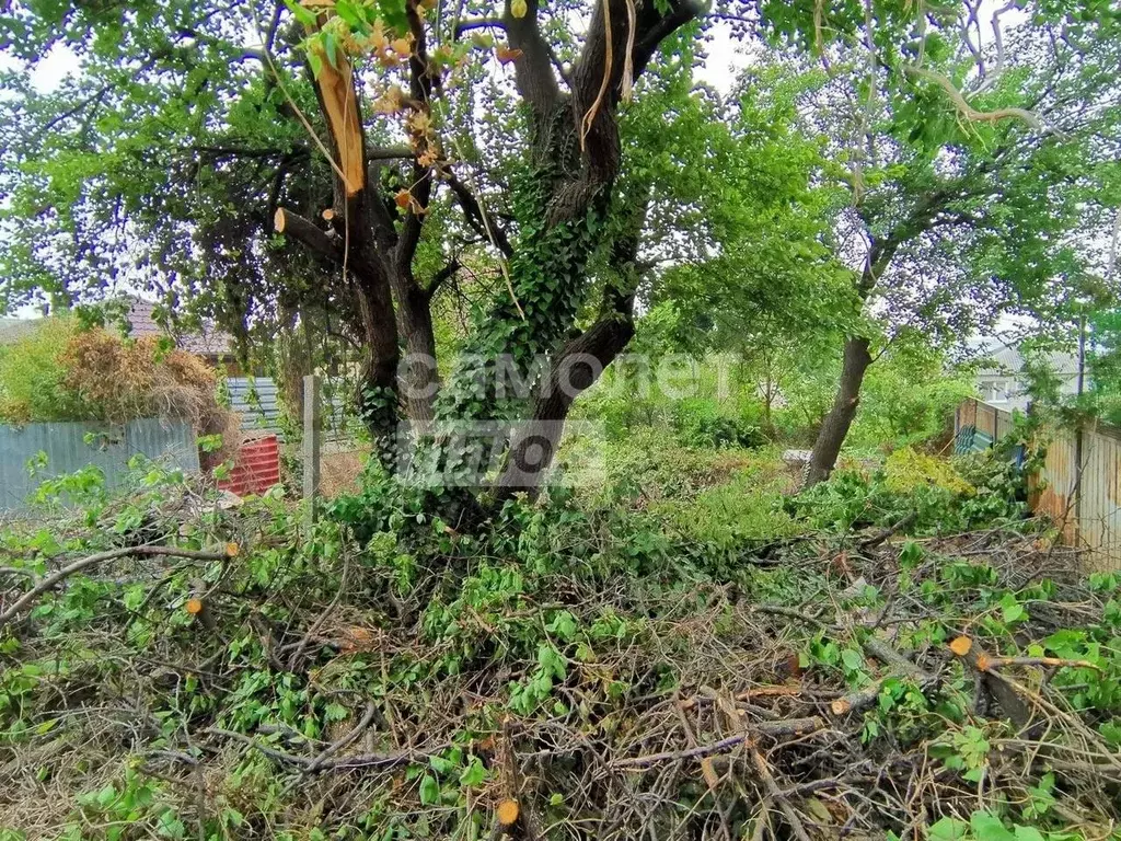 Участок в Краснодарский край, Анапа муниципальный округ, Анапская ... - Фото 2