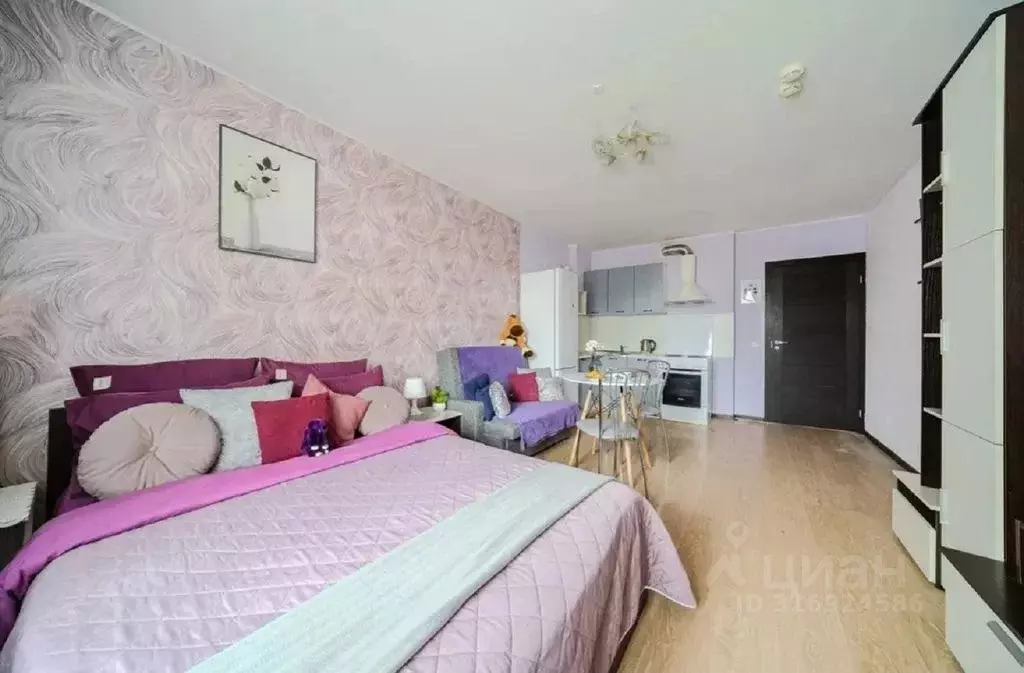Студия Санкт-Петербург просп. Энергетиков, 9К1 (27.0 м) - Фото 0