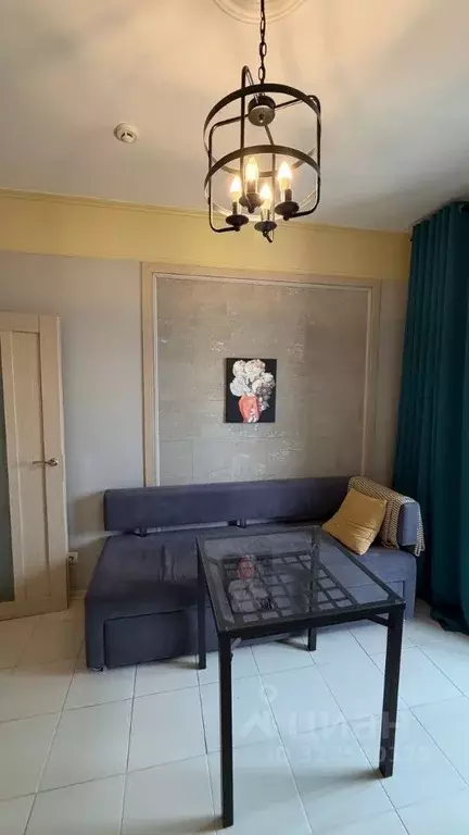 1-к кв. Санкт-Петербург ул. Академика Павлова, 6к2 (41.8 м) - Фото 2