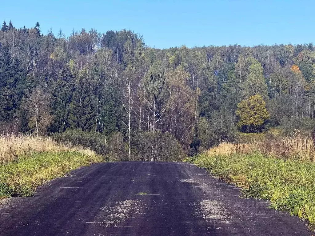 Участок в Московская область, Дмитровский муниципальный округ, ... - Фото 1