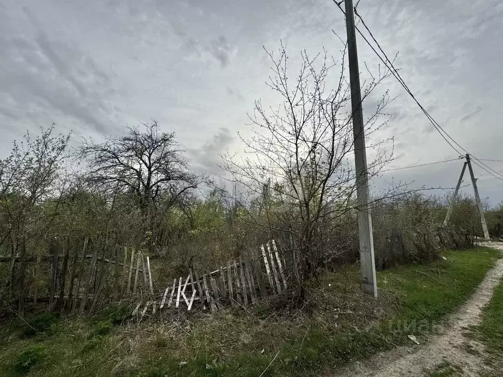 Участок в Мордовия, Саранск Обновление СТ,  (8.0 сот.) - Фото 1