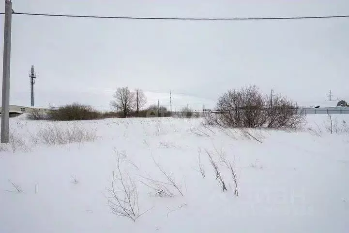 Участок в Татарстан, Тукаевский район, д. Азьмушкино, Подсолнухи мкр  ... - Фото 1