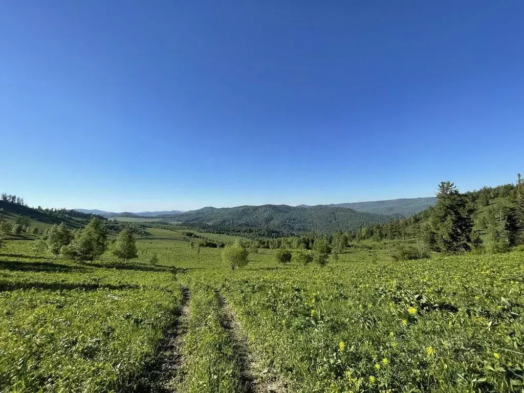 Участок в Алтай, Чемальский район, Элекмонарское с/пос, Седьмое Небо ... - Фото 1