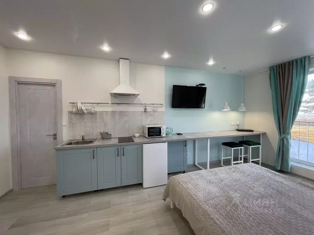 1-к кв. Псковская область, Гдовский район, д. Спицино 135 (25.0 м) - Фото 2