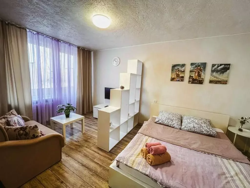 1-к кв. Татарстан, Нижнекамск просп. Химиков, 36Б (28.0 м) - Фото 1