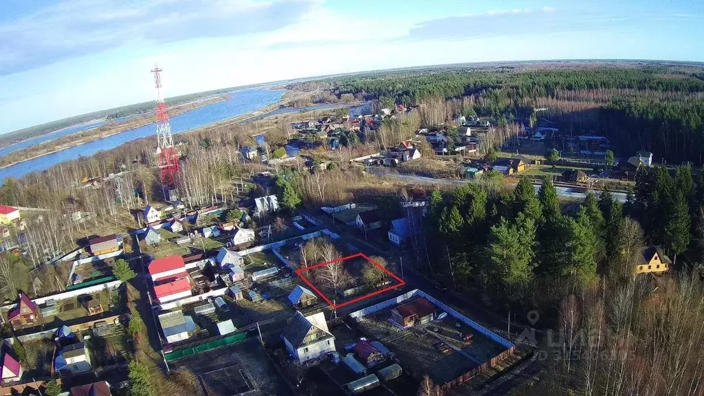 Участок в Тверская область, Конаковский муниципальный округ, Петушок ... - Фото 2