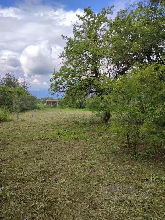 Дом в Новгородская область, Солецкий муниципальный округ, д. Дуброво ... - Фото 1