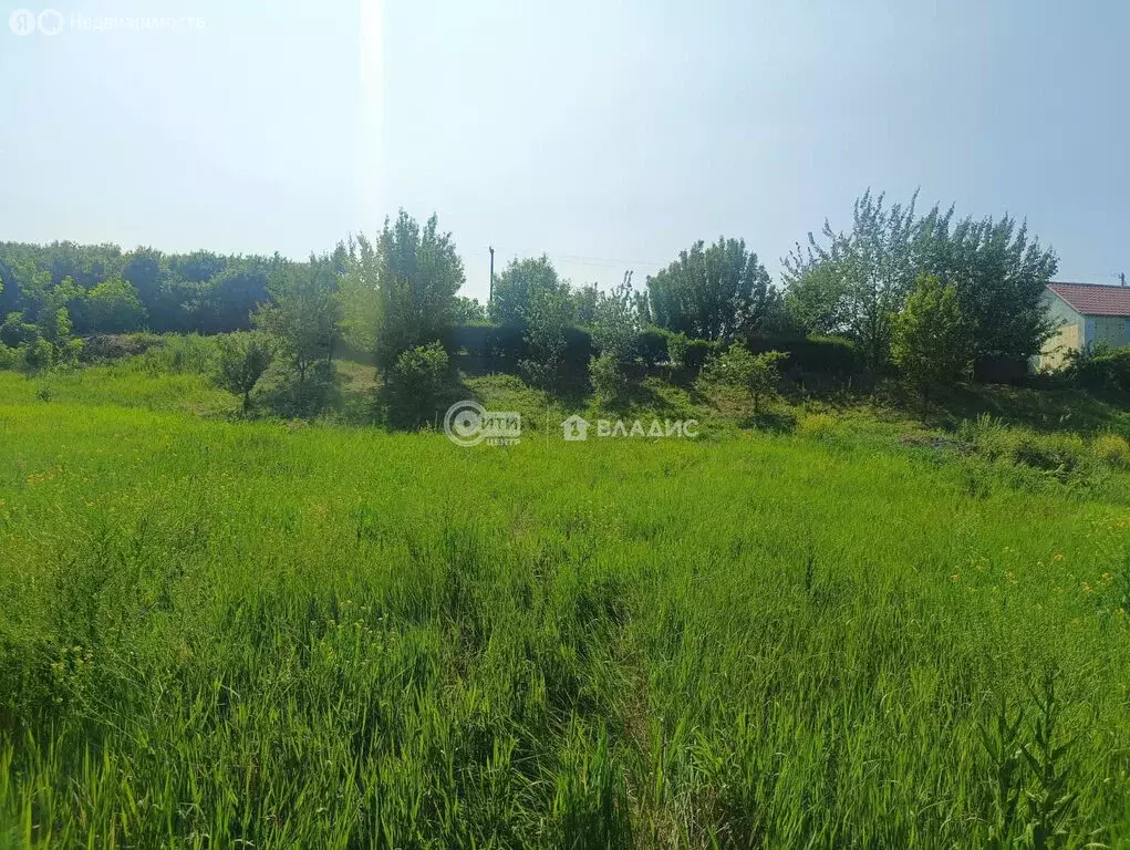 Участок в Землянск, улица Хмелевка, 16 (33.7 м) - Фото 1