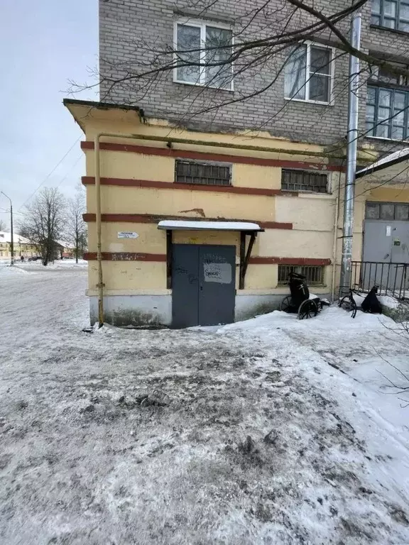 Помещение свободного назначения в Ленинградская область, Никольское ... - Фото 1