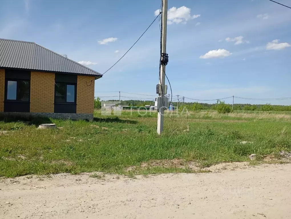 Участок в Алтайский край, Барнаул городской округ, пос. Черницк ул. ... - Фото 0