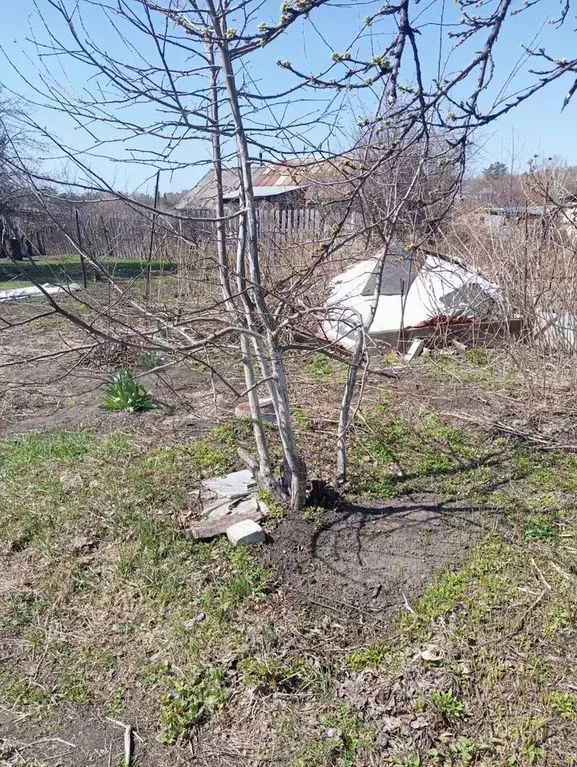 Дом 20 м на участке 8,5 сот. - Фото 1