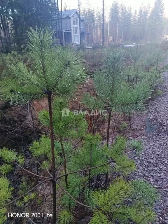 Участок в Ленинградская область, Выборгский район, Рощино пгт проезд ... - Фото 1