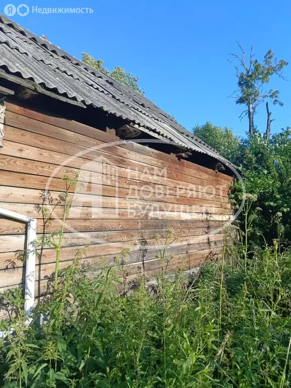 Участок в Лямино, улица Калинина, 41 (11 м) - Фото 0