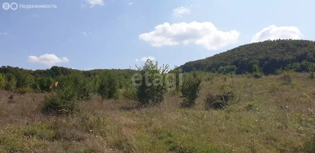 Участок в Бахчисарайский район, посёлок городского типа Куйбышево ... - Фото 1