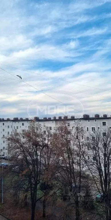 1-к кв. Калининградская область, Калининград Ореховая ул., 11 (33.8 м) - Фото 1