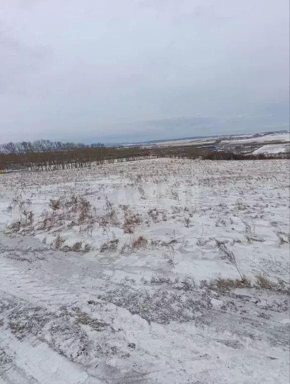 Участок в Красноярский край, Красноярск городской округ, Березовка ... - Фото 2