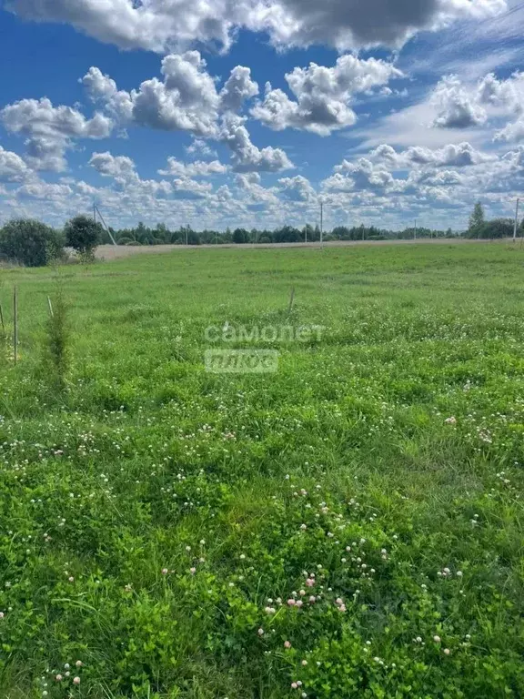 Участок в Московская область, Шаховская городской округ, д. Лукошкино ... - Фото 1