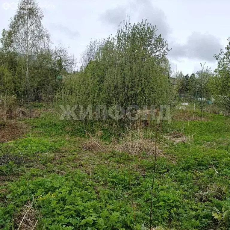 Участок в Томск, садовое товарищество Геолог-1 (6.9 м) - Фото 2