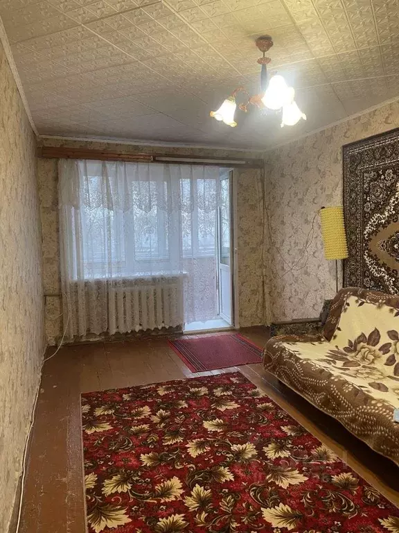 2-к кв. Нижегородская область, Богородск ул. Пушкина, 18 (42.4 м) - Фото 1