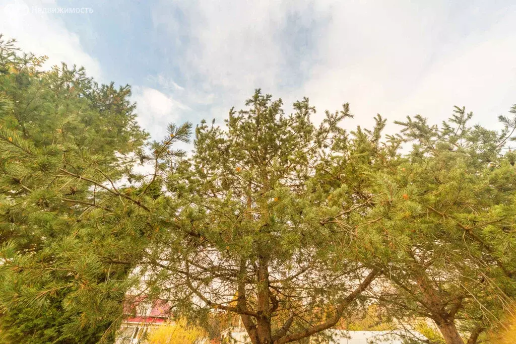 Участок в Шуйское сельское поселение, деревня Бесовец, деревня Нижний ... - Фото 2