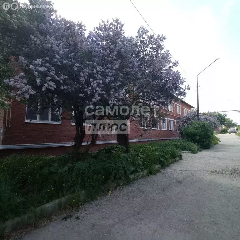 1-комнатная квартира: деревня Курманка, Юбилейная улица, 4 (29.9 м) - Фото 1