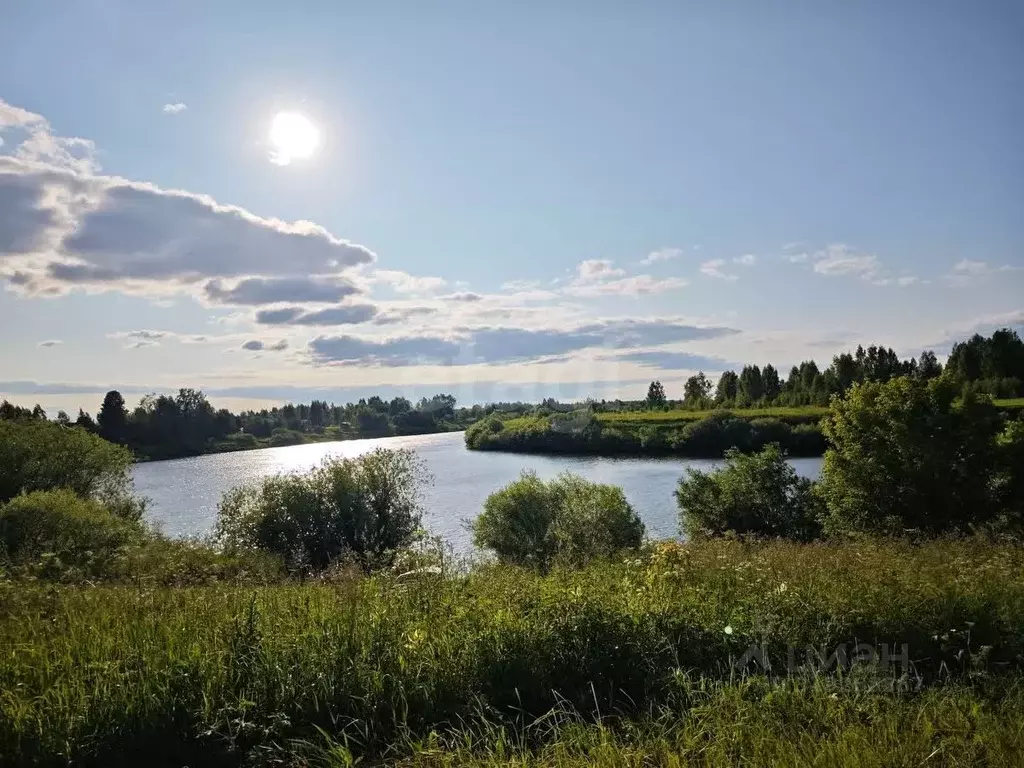 Участок в Костромская область, Костромской район, Сандогорское с/пос, ... - Фото 2