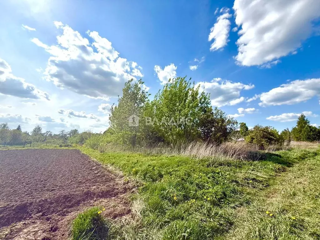 Участок в Московская область, Луховицы муниципальный округ, д. ... - Фото 1