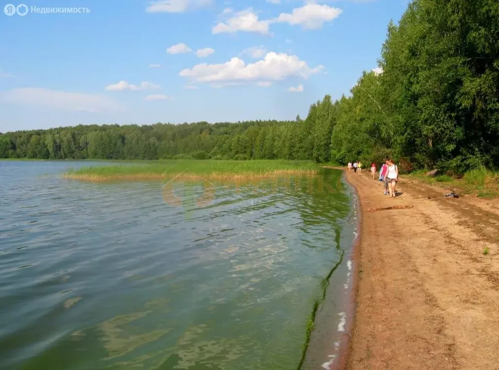 Участок в Выборгский район, Приморское городское поселение, посёлок ... - Фото 1