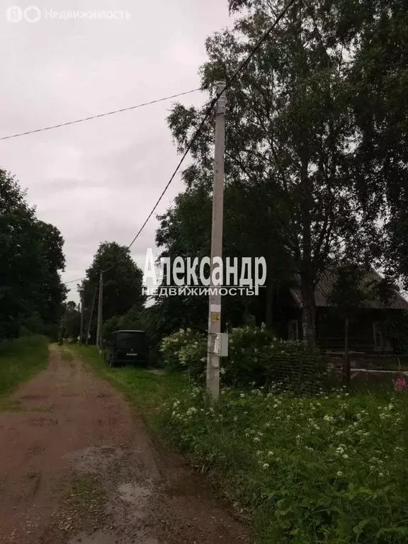 Участок в Любанское городское поселение, деревня Вериговщина, ... - Фото 1