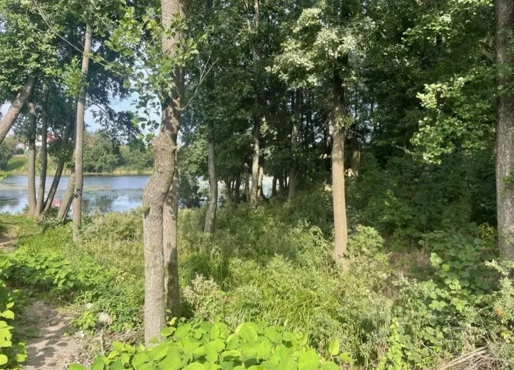 Участок в Калининградская область, Пионерский Заозерная ул. (5.6 сот.) - Фото 1