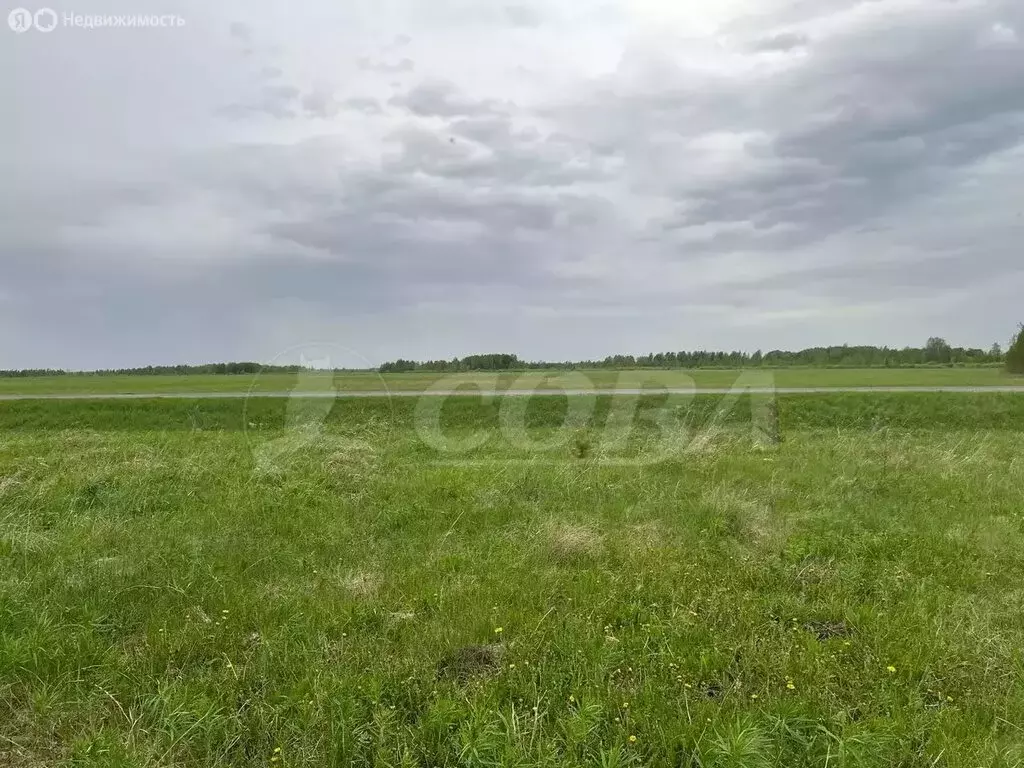 Участок в Тюменский район, Винзилинское муниципальное образование (8 ... - Фото 1