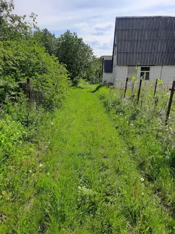 Участок в Курская область, Курск Дубрава садовое товарищество,  (630.0 ... - Фото 1