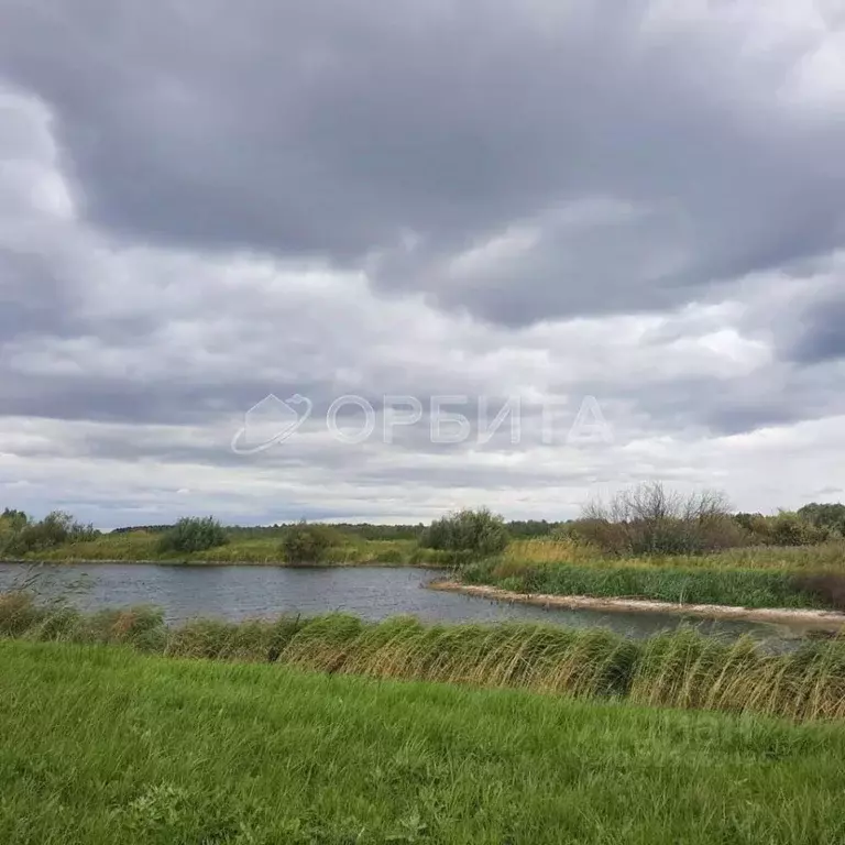 Участок в Курганская область, Куртамышский муниципальный округ, с. ... - Фото 2